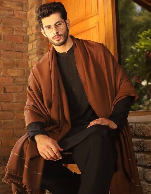 Pashmina Wool Shawl(Chocolate Brown)